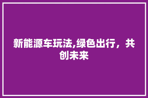 新能源车玩法,绿色出行，共创未来