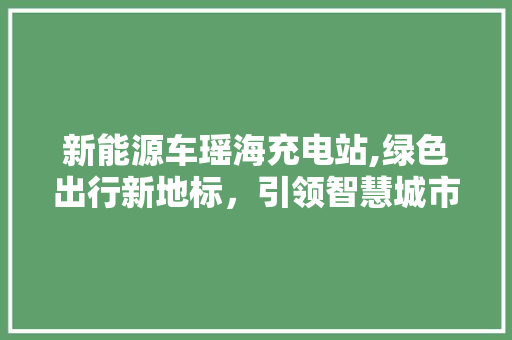 新能源车瑶海充电站,绿色出行新地标，引领智慧城市新风尚 底盘配件