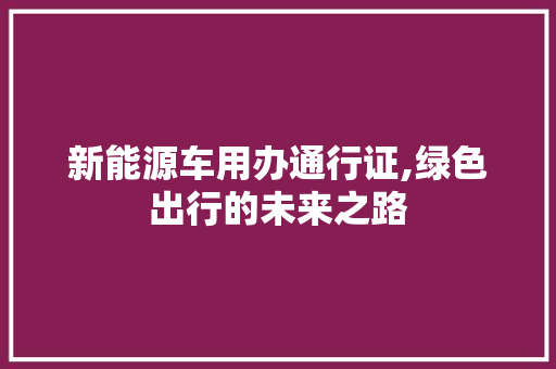 新能源车用办通行证,绿色出行的未来之路