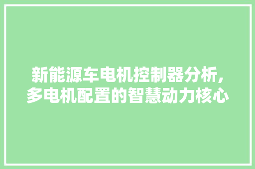 新能源车电机控制器分析,多电机配置的智慧动力核心