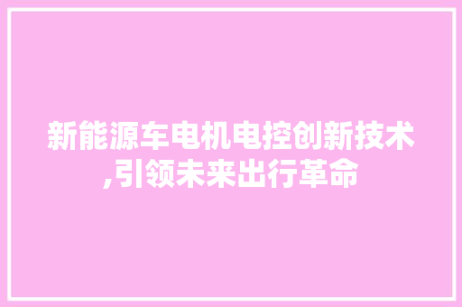 新能源车电机电控创新技术,引领未来出行革命