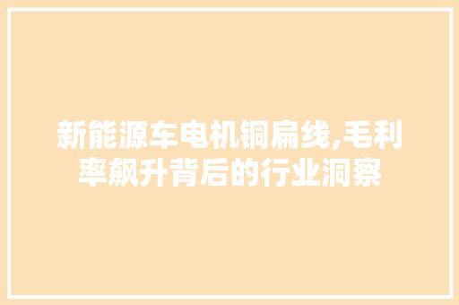 新能源车电机铜扁线,毛利率飙升背后的行业洞察