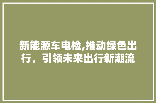 新能源车电检,推动绿色出行，引领未来出行新潮流