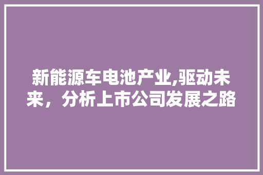 新能源车电池产业,驱动未来，分析上市公司发展之路