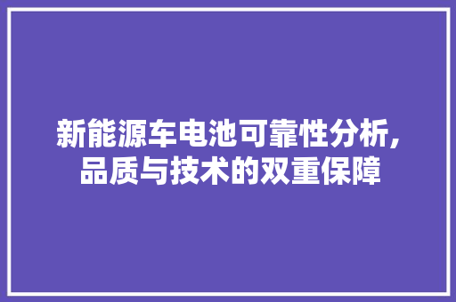 新能源车电池可靠性分析,品质与技术的双重保障