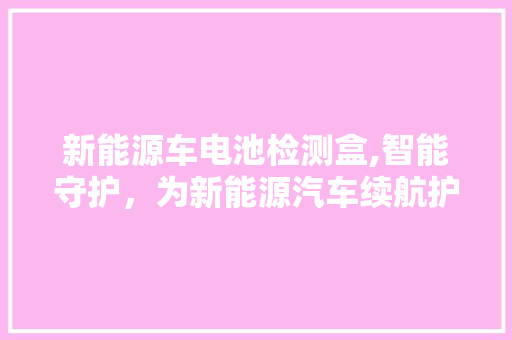 新能源车电池检测盒,智能守护，为新能源汽车续航护航
