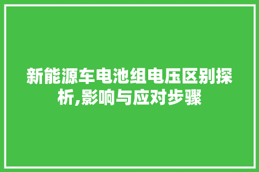 新能源车电池组电压区别探析,影响与应对步骤
