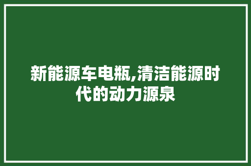 新能源车电瓶,清洁能源时代的动力源泉