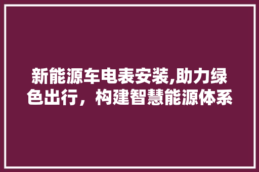 新能源车电表安装,助力绿色出行，构建智慧能源体系
