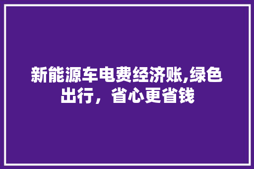新能源车电费经济账,绿色出行，省心更省钱