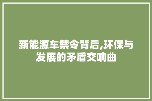 新能源车禁令背后,环保与发展的矛盾交响曲