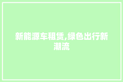 新能源车租赁,绿色出行新潮流