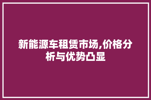 新能源车租赁市场,价格分析与优势凸显