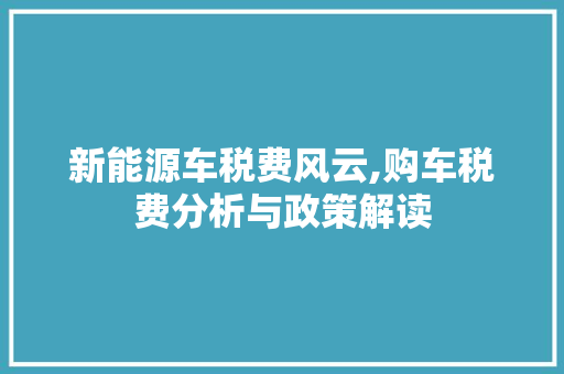 新能源车税费风云,购车税费分析与政策解读