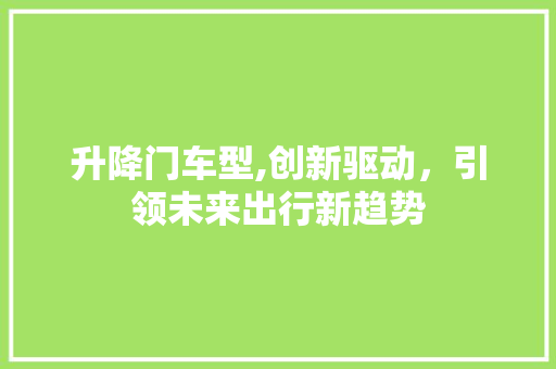 升降门车型,创新驱动，引领未来出行新趋势