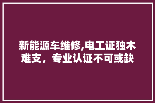 新能源车维修,电工证独木难支，专业认证不可或缺