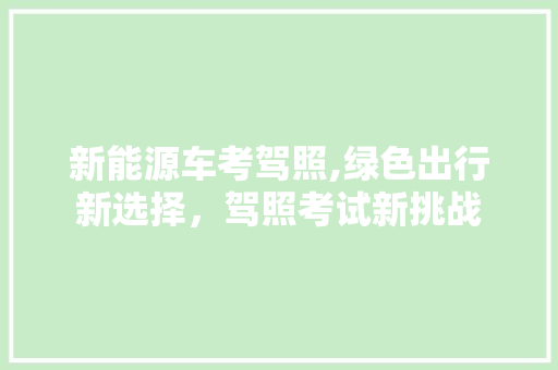 新能源车考驾照,绿色出行新选择，驾照考试新挑战