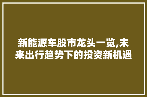 新能源车股市龙头一览,未来出行趋势下的投资新机遇