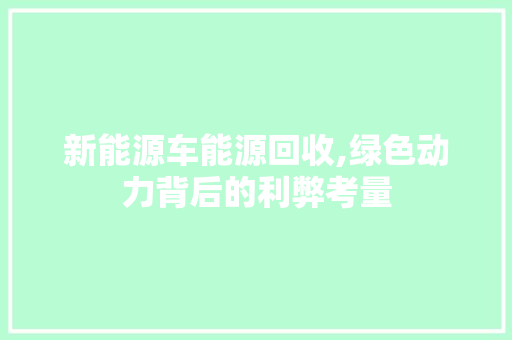 新能源车能源回收,绿色动力背后的利弊考量