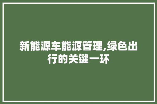 新能源车能源管理,绿色出行的关键一环