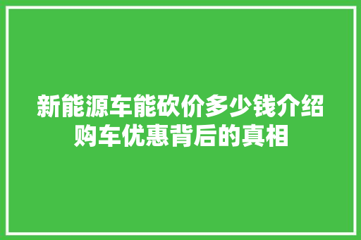 新能源车能砍价多少钱介绍购车优惠背后的真相