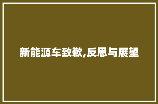 新能源车致歉,反思与展望