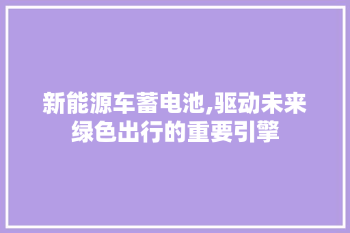 新能源车蓄电池,驱动未来绿色出行的重要引擎