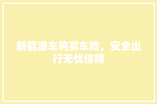 新能源车购买车险，安全出行无忧保障