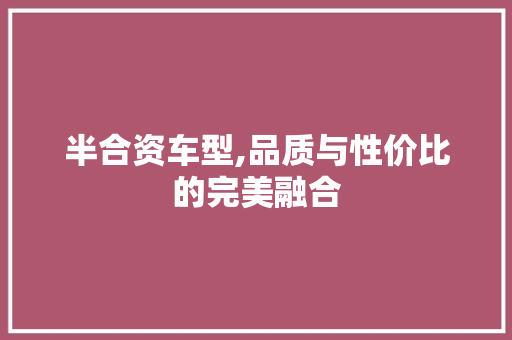 半合资车型,品质与性价比的完美融合