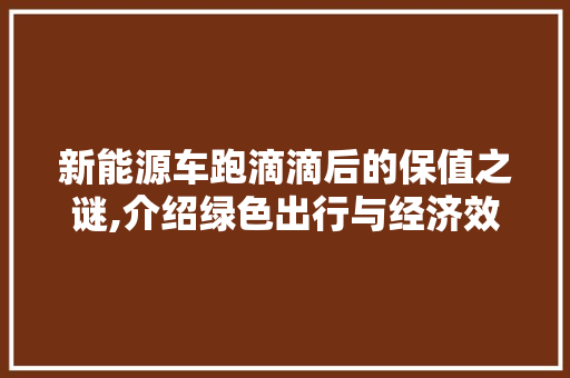 新能源车跑滴滴后的保值之谜,介绍绿色出行与经济效益的双赢之路