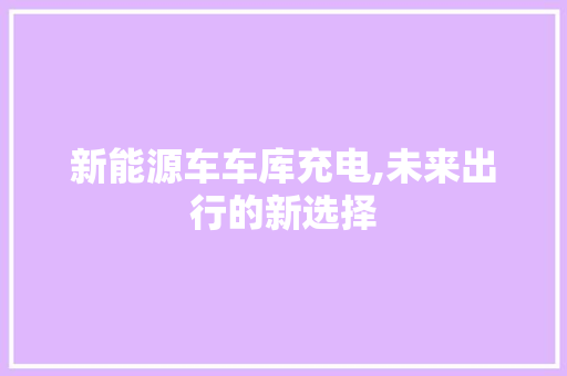 新能源车车库充电,未来出行的新选择
