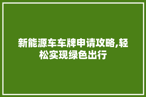 新能源车车牌申请攻略,轻松实现绿色出行