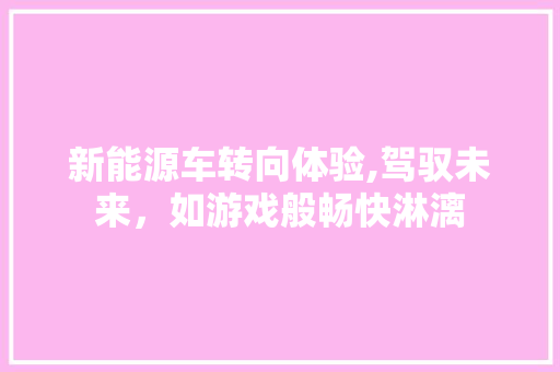 新能源车转向体验,驾驭未来，如游戏般畅快淋漓