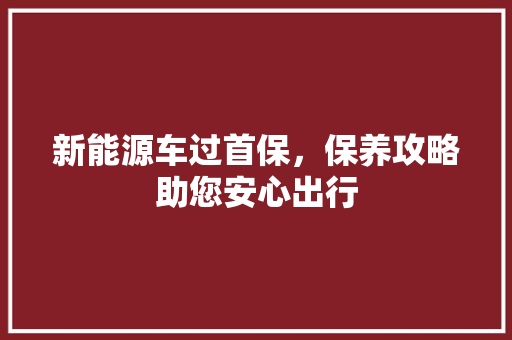 新能源车过首保，保养攻略助您安心出行