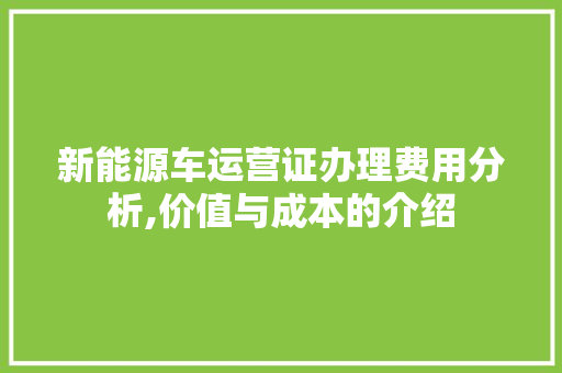 新能源车运营证办理费用分析,价值与成本的介绍