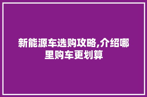 新能源车选购攻略,介绍哪里购车更划算