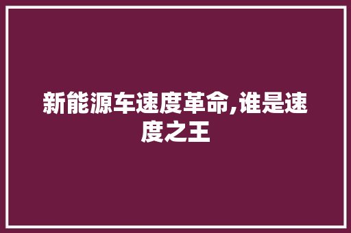 新能源车速度革命,谁是速度之王
