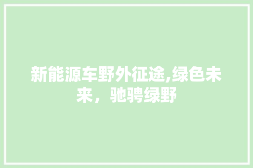 新能源车野外征途,绿色未来，驰骋绿野