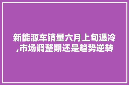 新能源车销量六月上旬遇冷,市场调整期还是趋势逆转
