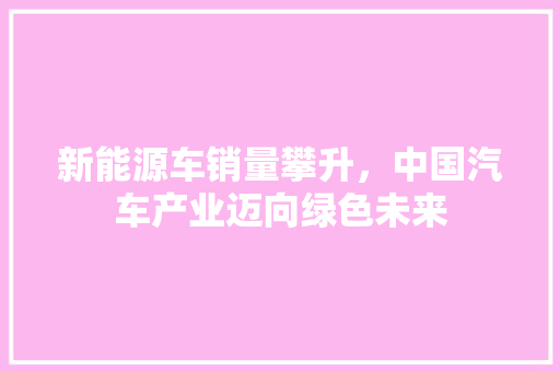 新能源车销量攀升，中国汽车产业迈向绿色未来