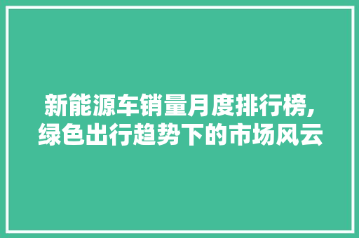 新能源车销量月度排行榜,绿色出行趋势下的市场风云