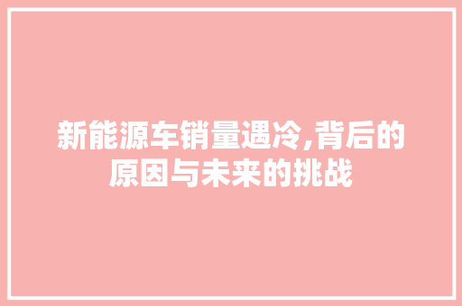 新能源车销量遇冷,背后的原因与未来的挑战