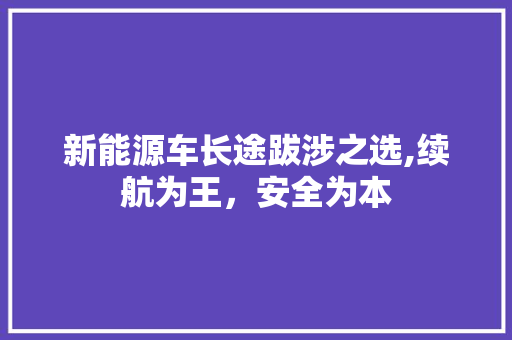 新能源车长途跋涉之选,续航为王，安全为本