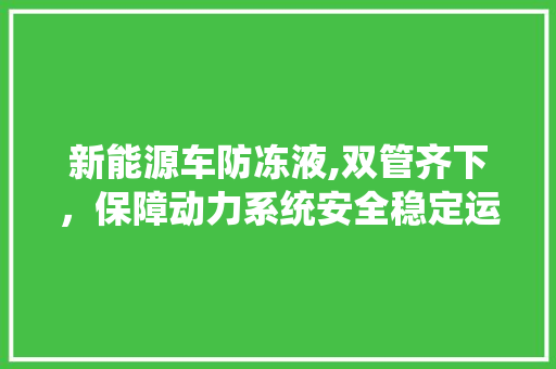 新能源车防冻液,双管齐下，保障动力系统安全稳定运行