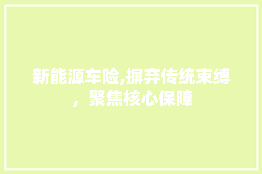 新能源车险,摒弃传统束缚，聚焦核心保障