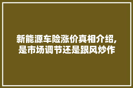 新能源车险涨价真相介绍,是市场调节还是跟风炒作