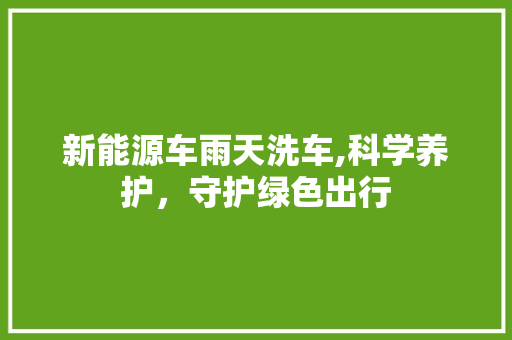 新能源车雨天洗车,科学养护，守护绿色出行