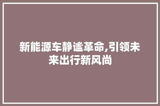 新能源车静谧革命,引领未来出行新风尚