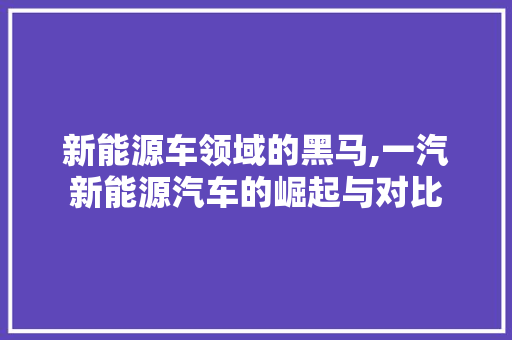 新能源车领域的黑马,一汽新能源汽车的崛起与对比
