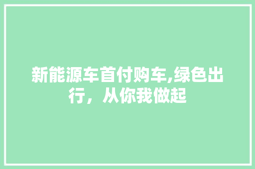 新能源车首付购车,绿色出行，从你我做起